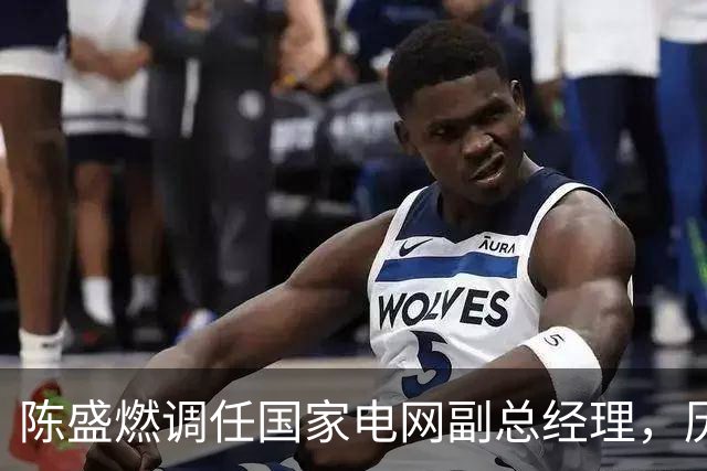陈盛燃调任国家电网副总经理，历任职务丰富